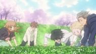 Honey and Clover (Image via J.C. Staff)